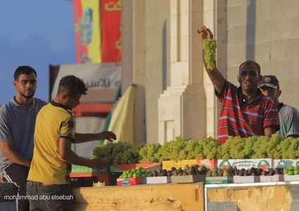 التين والعنب في سوق الشيخ عجلين الموسمي غرب غزة
