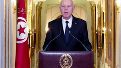 الرئيس التونسي يؤكد رفضه التدخلات الخارجية