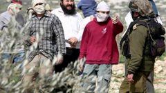 مستوطنون يهاجمون أرضا زراعية في منطقة المعرجات غرب أريحا