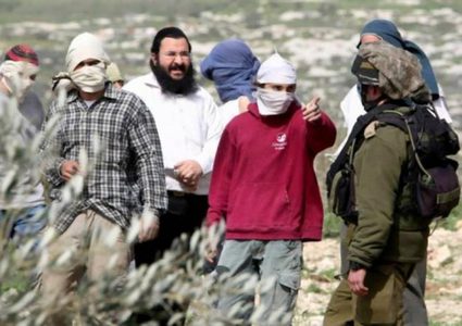 مستوطنون يهاجمون أرضا زراعية في منطقة المعرجات غرب أريحا