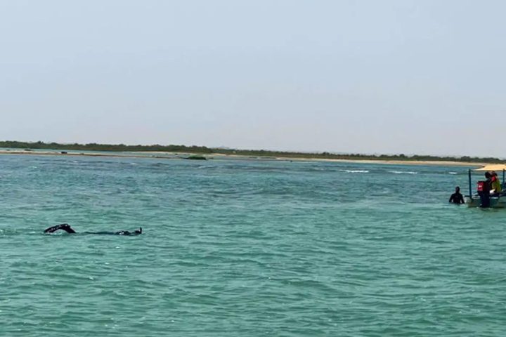 العثور على جثمان الشاب الغريق في بحر شمال القطاع