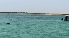 العثور على جثمان الشاب الغريق في بحر شمال القطاع