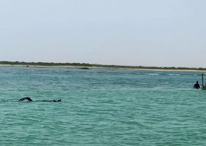 العثور على جثمان الشاب الغريق في بحر شمال القطاع