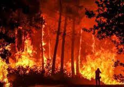 تراجع الحرائق في فرنسا مع انحسار موجة الحر وتوقع هطول أمطار