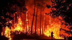 تراجع الحرائق في فرنسا مع انحسار موجة الحر وتوقع هطول أمطار