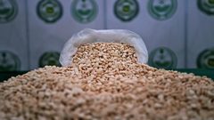 الأردن: إحباط محاولة لتهريب مليون حبة كبتاغون إلى خارج المملكة