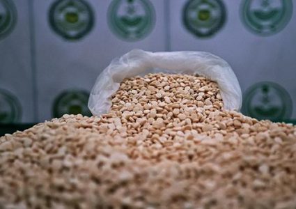 الأردن: إحباط محاولة لتهريب مليون حبة كبتاغون إلى خارج المملكة