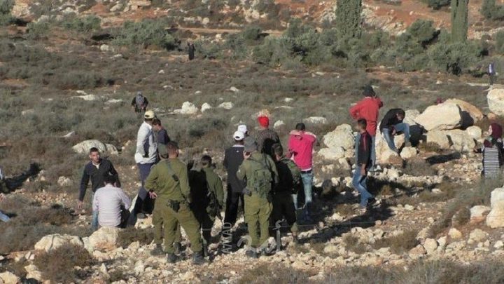 مستوطنون يسرقون مستلزمات زراعية في قرية كيسان شرق بيت لحم