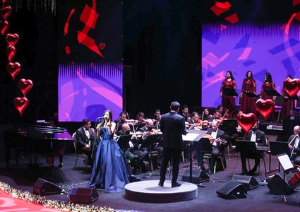 اتحاد الفنانين الفلسطينيين يمنع أنس أبو سنينه ومحمد غدير من الغناء بالحفلات