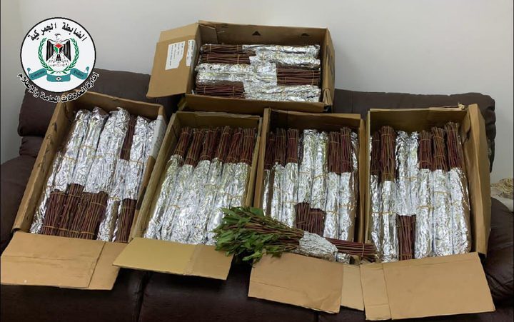 جهاز الضابطة الجمركية يضبط 55 كيلوغرام من نبتة القات المخدر في نابلس
