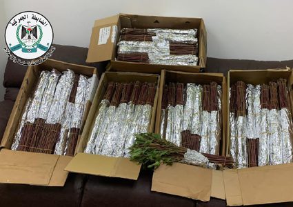 جهاز الضابطة الجمركية يضبط 55 كيلوغرام من نبتة القات المخدر في نابلس