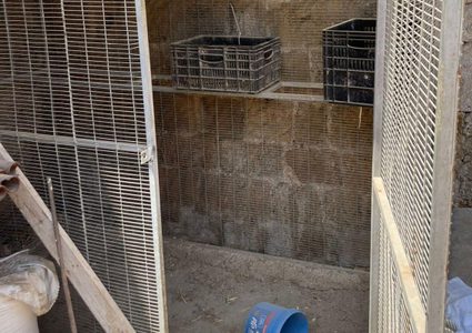 عكا: الاعتداء بالضرب والحبس على خمسيني لرفضه العمل دون مقابل