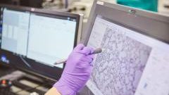 دراسة: التوجه نحو منتجات التبغ المسخن كخيار للتخلص من الحرق