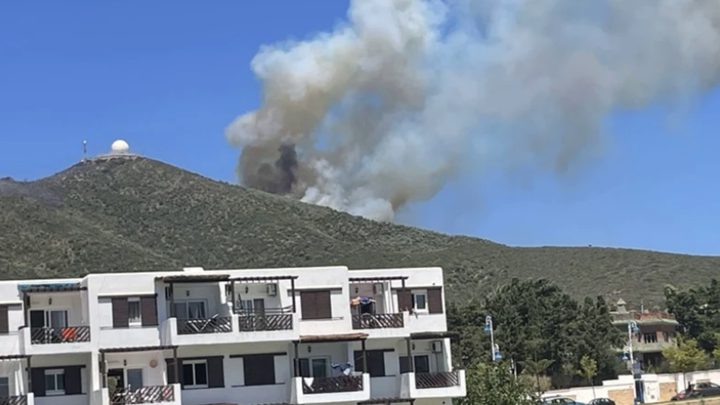 المغرب: تجدد الحريق في نواحي مدينة المضيق‎‎
