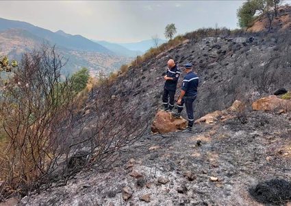 ارتفاع ضحايا حرائق غابات الجزائر