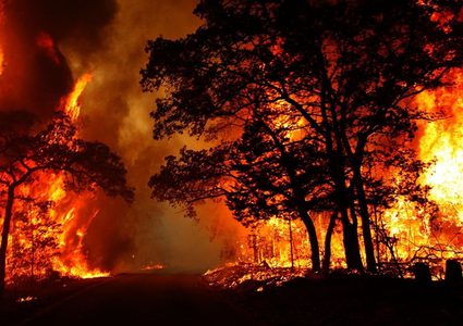الجزائر: ارتفاع حصيلة قتلى الحرائق إلى 43