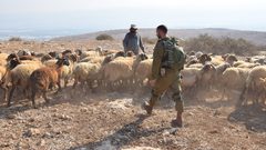 الاحتلال يستهدف رعاة الاغنام بقنابل الغاز جنوب غزة