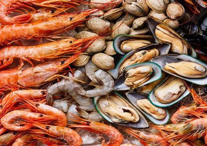 لمحبي المأكولات البحرية.. تقرير يحذر من العواقب البيئية