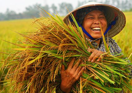 الصين تشهد موجة حر غير مسبوقة ومخاوف على المحاصيل الزراعية