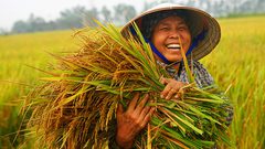 الصين تشهد موجة حر غير مسبوقة ومخاوف على المحاصيل الزراعية