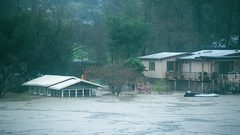 علماء يكشفون "خطرا زاحفا" من أكبر جزيرة في العالم