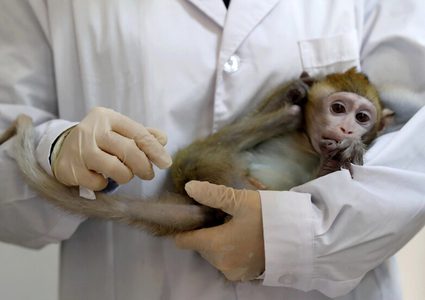 تسجيل أول حالة وفاة بجدري القرود في أمريكا