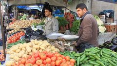 "الإحصاء": ارتفاع أسعار المنتج بنسبة 0.33% خلال شهر تموز