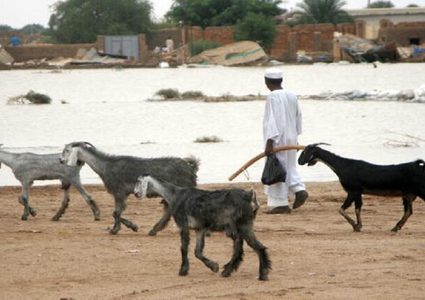 راعي أغنام يصبح مليونيرا في لحظة..!