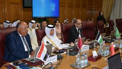 اللجنة الوزارية العربية المعنية بالشأن الفلسطيني تجتمع في القاهرة