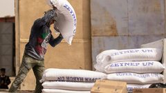 الاقتصاد: انخفاض على أسعار الطحين وزيت دوار الشمس بنسبة من 7 – 14%