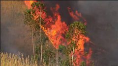 ارتفاع عدد الحرائق في بوليفيا خلال أسبوعين