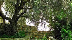 الصبّاح: الاهتمام بالطبيعة واجب مجتمعي