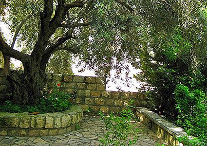 الصبّاح: الاهتمام بالطبيعة واجب مجتمعي