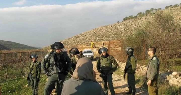 الاحتلال يسيج مساحات من "خربة إحميّر" في الأغوار الشمالية للاستيلاء عليها