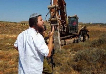 مستوطنون يسرقون ثمار زيتون من أراضي بورين