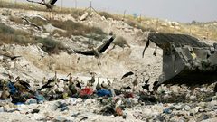 شواهنة: إعادة فتح مكب زهرة الفنجان رغم تكبد خسارة تقدر بمليون