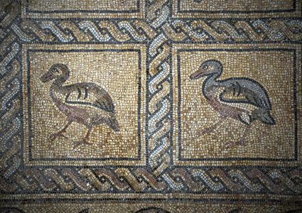 حقيقة اكتشاف لوحة فسيفسائية في غزة