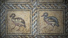 حقيقة اكتشاف لوحة فسيفسائية في غزة