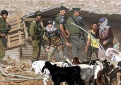 قوات الاحتلال تواصل احتجاز خمسة رعاة في الأغوار الشمالية