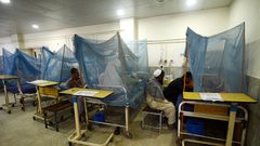 باكستان تسجل أكثر من 300 حالة وفاة بسبب تفشي الملاريا