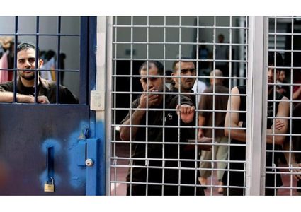 غرناطة.. ندوة حول انتهاكات الاحتلال لحقوق الأسرى الفلسطينيين