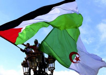 تبون: فلسطين قضية وطنية للجزائر.. ولن نقبل استعمارها