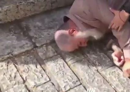 إصابة مسن بعد اعتداء الاحتلال عليه عند باب السلسلة