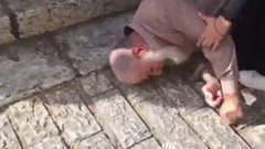 إصابة مسن بعد اعتداء الاحتلال عليه عند باب السلسلة