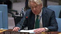 وينسلاند: إنهاء الاحتلال وتحقيق حل الدولتين يتطلب جهودا دولية جماعية