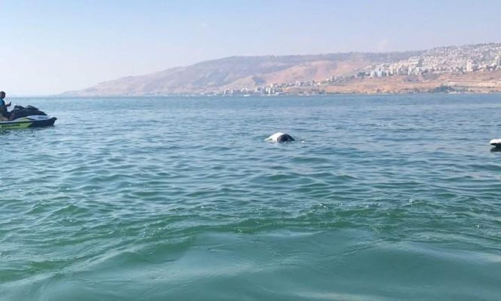 غرق شخص في بحر حيفا وحالته حرجة