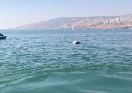 غرق شخص في بحر حيفا وحالته حرجة