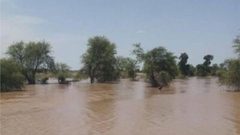 تحذيرات من انتشار الكوليرا بالسودان بعد موجة السيول والفيضانات