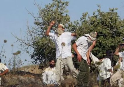 مستوطنون يهاجمون خربة الفارسية ويغلقون طرقا رئيسية في الأغوار الشمالية