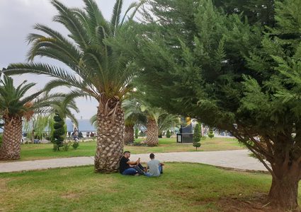 حالة الطقس: أجواء غائمة جزئيا وتواصل انخفاض درجات الحرارة